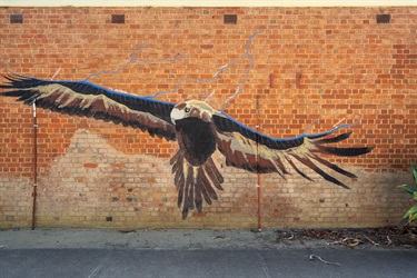 Wadge-tail Eagle mural on brock wall
